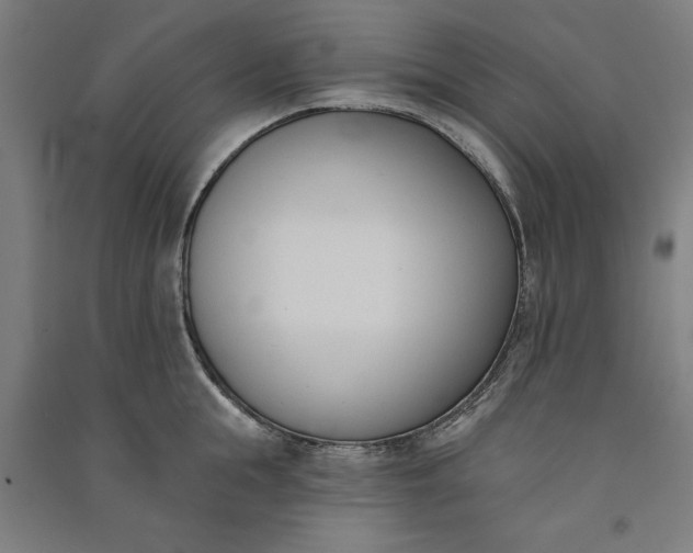 X0000091070855200708201408