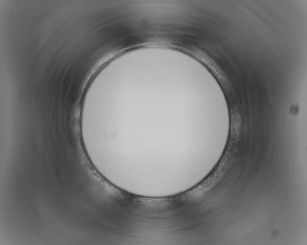 X0000091070856200708201408