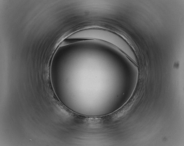 X0000091070858200708201408