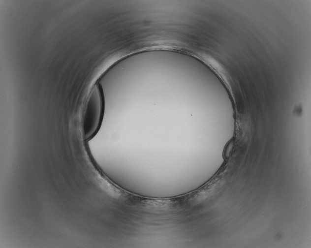 X0000091070859200708201408