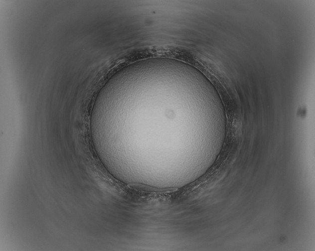 X0000091070865200708201407