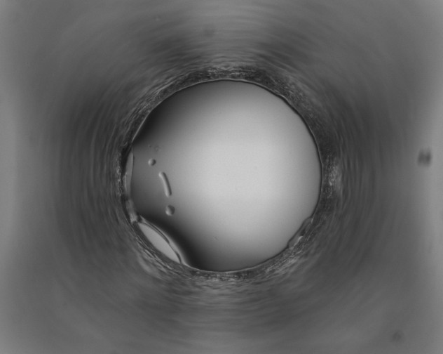 X0000091070868200708201407