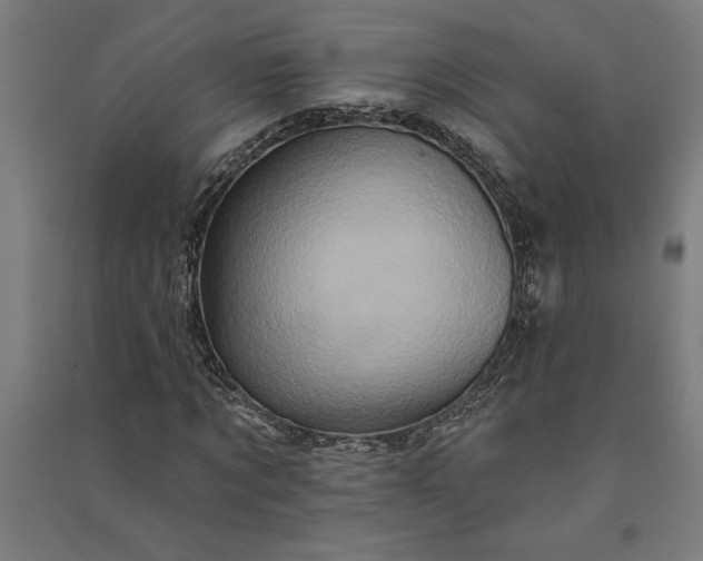 X0000091070869200708201407