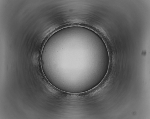 X0000091070873200708201407