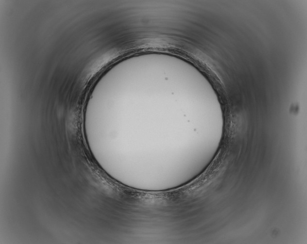 X0000091070874200708201407