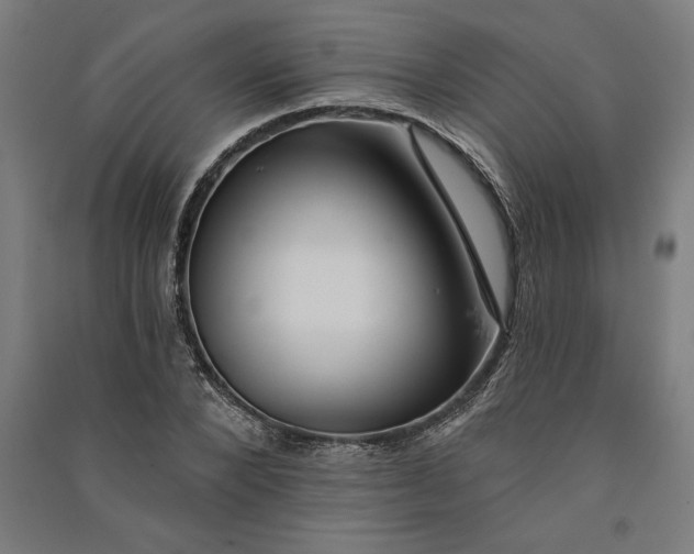 X0000091070880200708201407