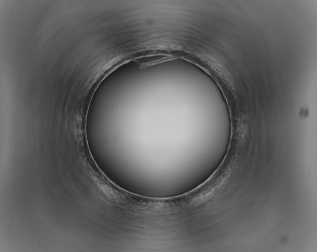 X0000091070881200708201407