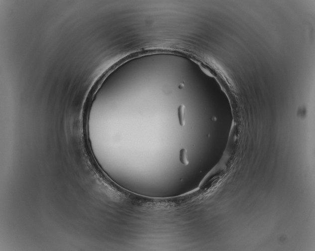 X0000091070884200708201407