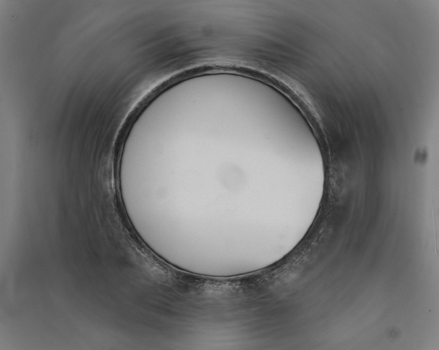 X0000091070887200708201407