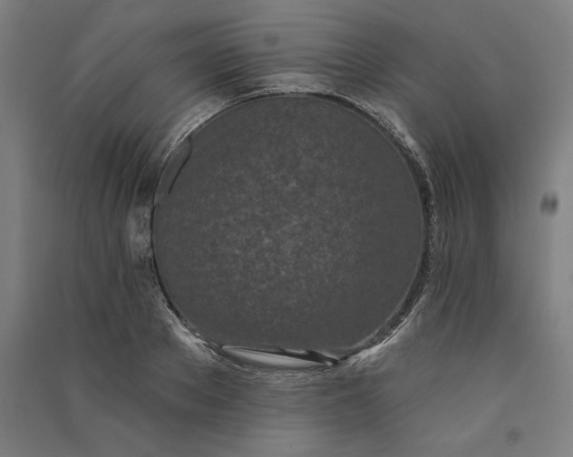 X0000091070889200708201407