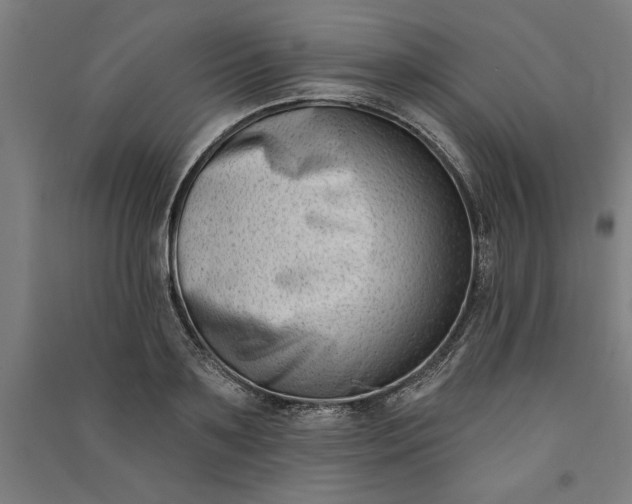 X0000091070891200708201407