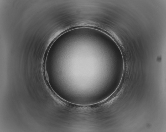 X0000091070893200708201407