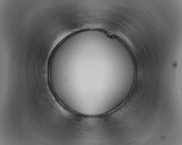 X0000091070894200708201407