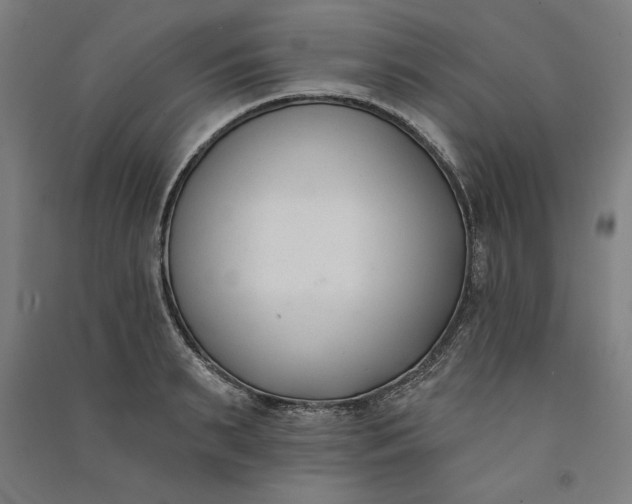 X0000091070895200708201407