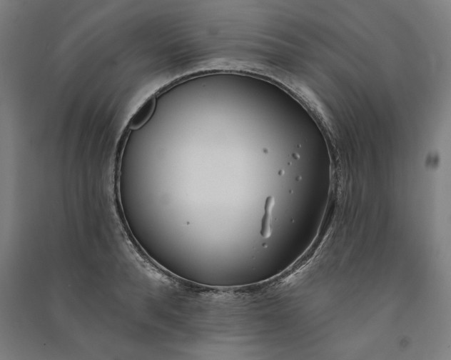 X0000091070896200708201407