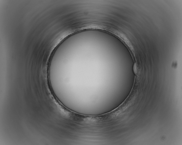 X0000091070898200708201406