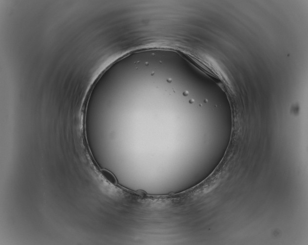 X0000091070900200708201406