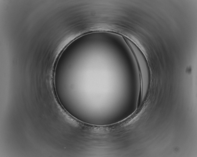 X0000091070901200708201406