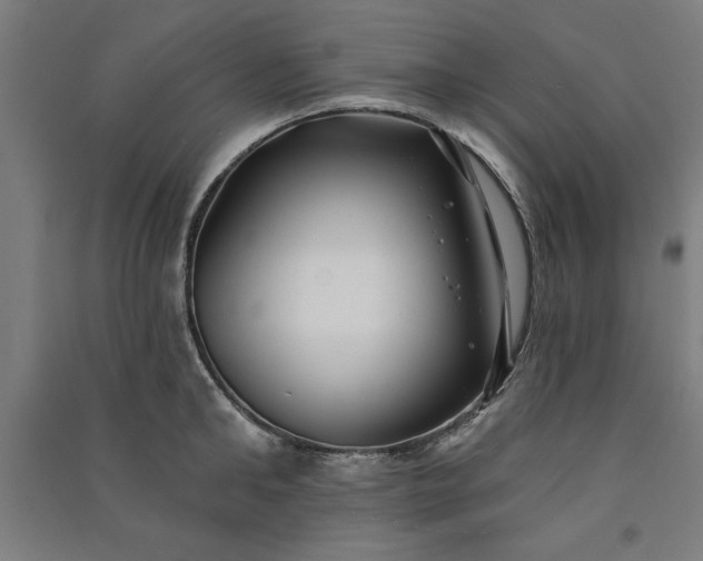 X0000091070902200708201406