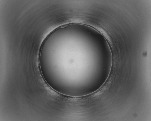 X0000091070904200708201406