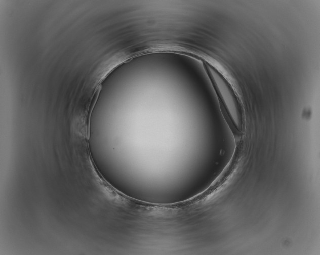 X0000091070905200708201406