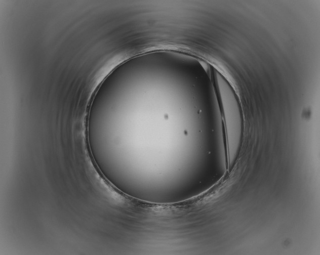 X0000091070906200708201406