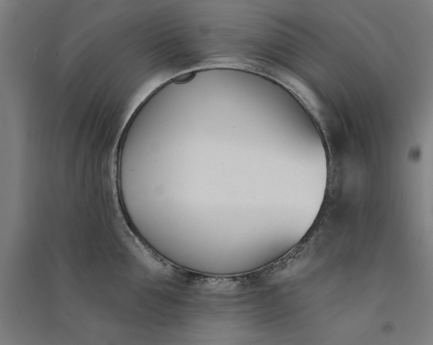 X0000091070907200708201406