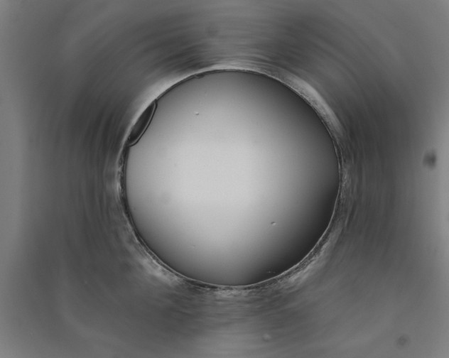 X0000091070908200708201406