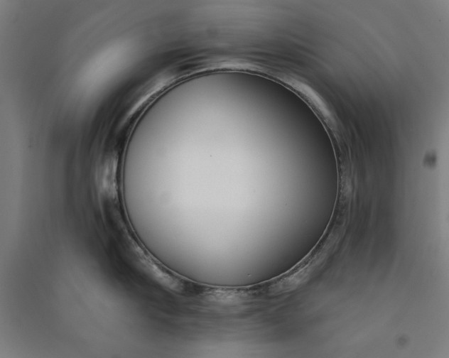 X0000091070910200708201406