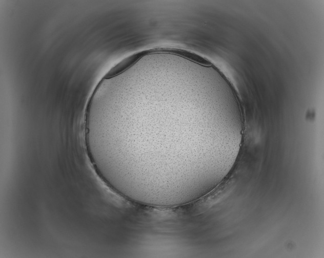 X0000091070911200708201406