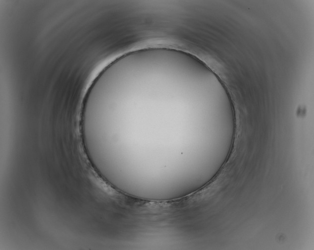 X0000091070912200708201406