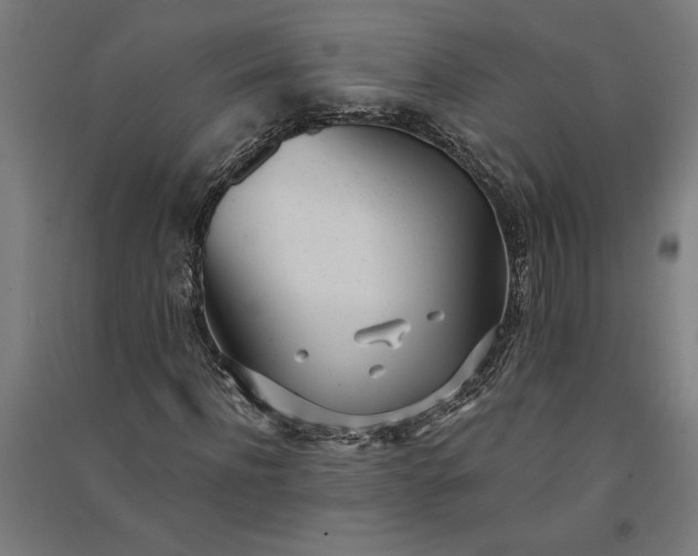 X0000091070916200708201406