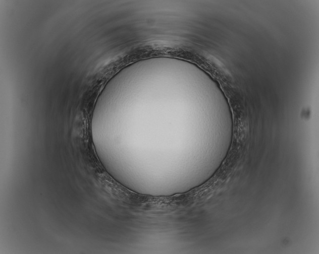 X0000091070917200708201406