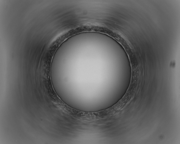 X0000091070919200708201406