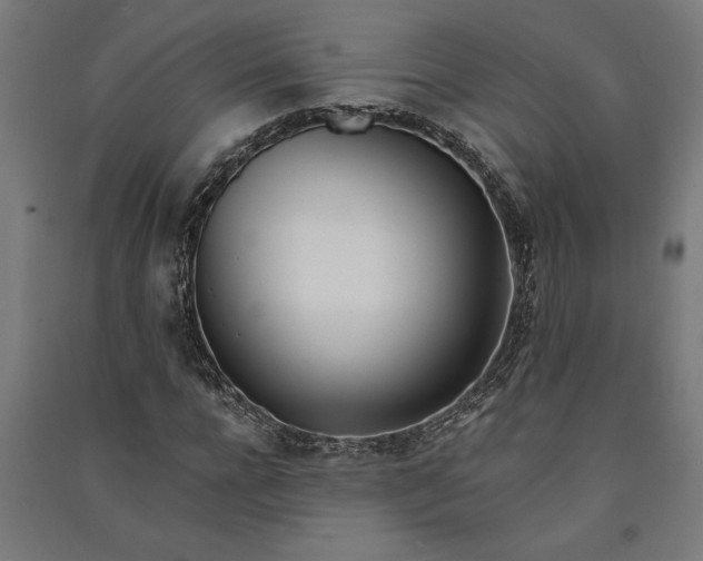 X0000091070920200708201406