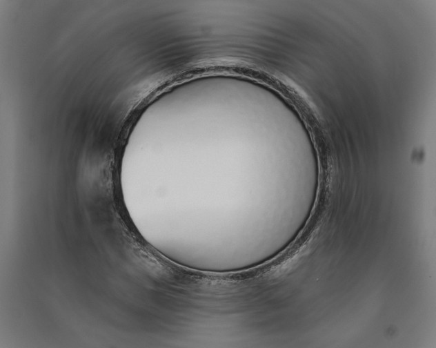 X0000091070921200708201406