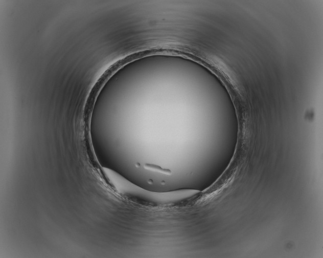 X0000091070924200708201406