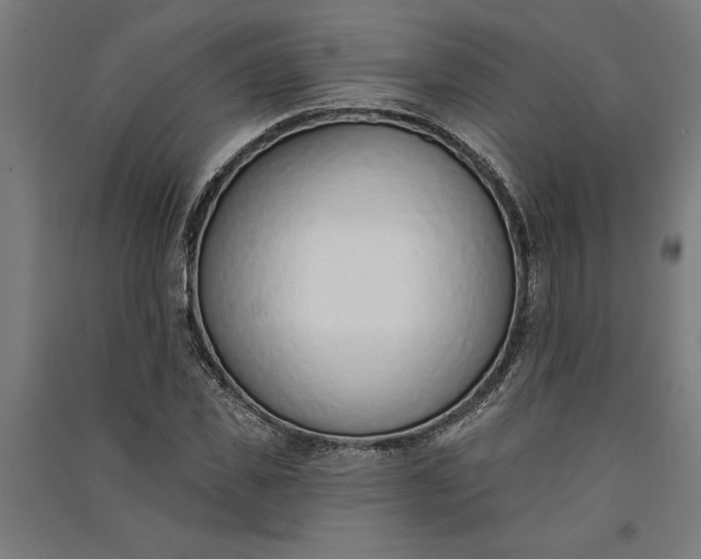 X0000091070925200708201406