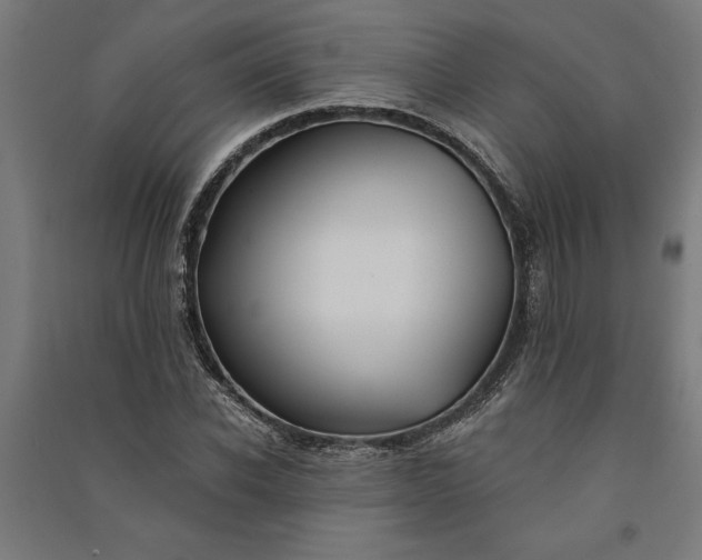 X0000091070926200708201406