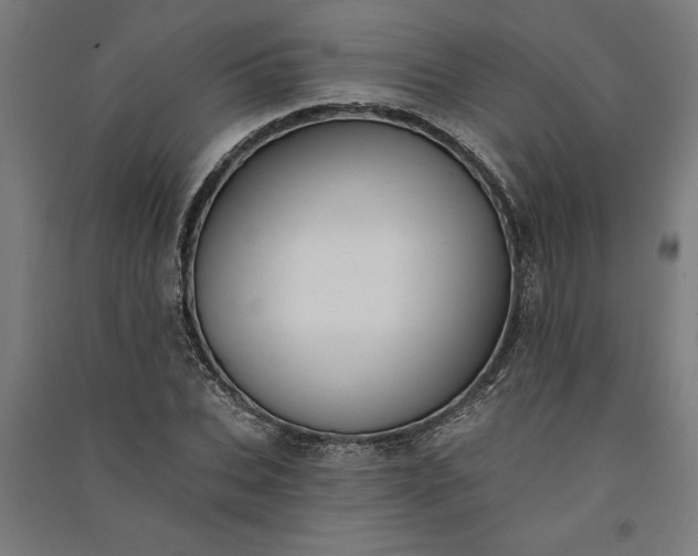 X0000091070927200708201406