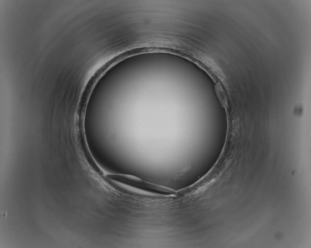 X0000091070928200708201406