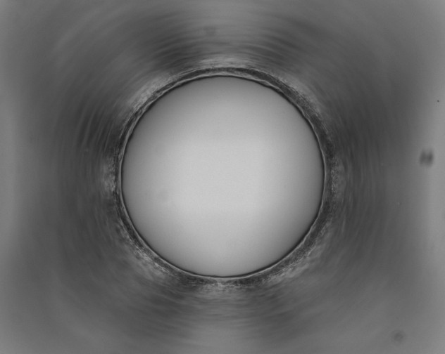 X0000091070929200708201406