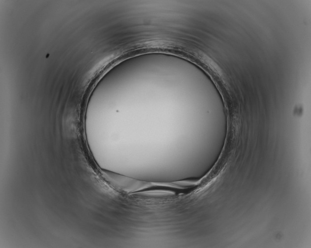 X0000091070930200708201406