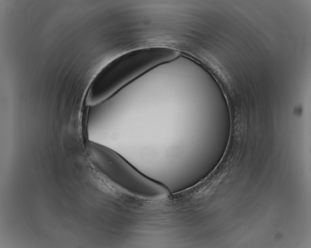 X0000091070932200708201406