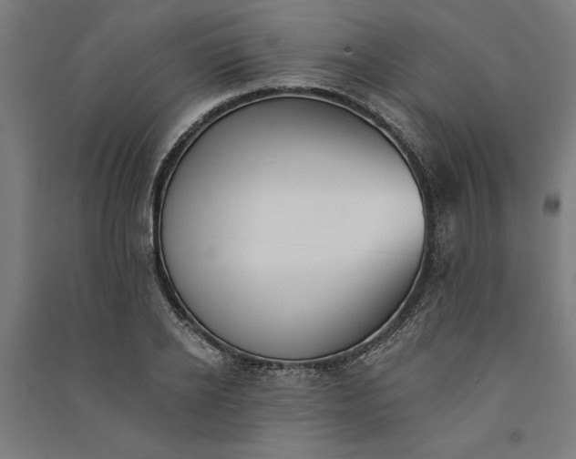 X0000091070934200708201406