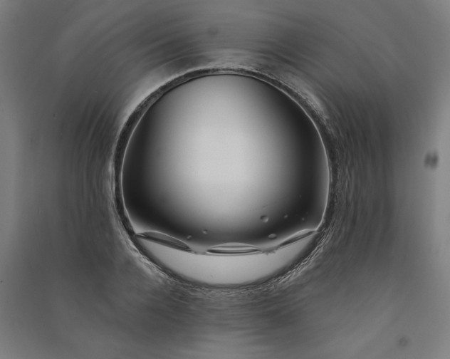 X0000091070936200708201406