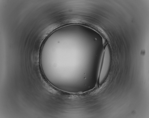 X0000091070938200708201406