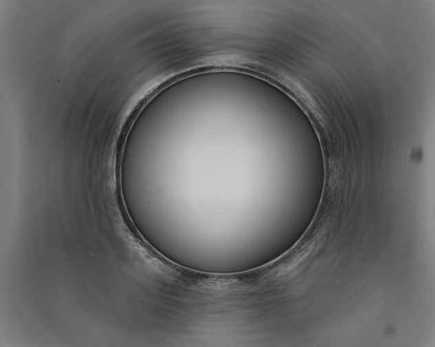 X0000091070939200708201406