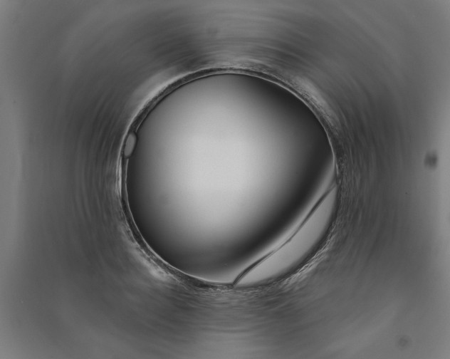 X0000091070940200708201406