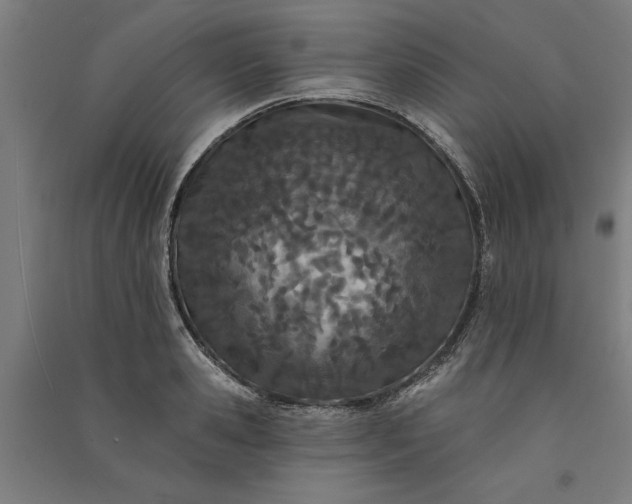 X0000091070941200708201406